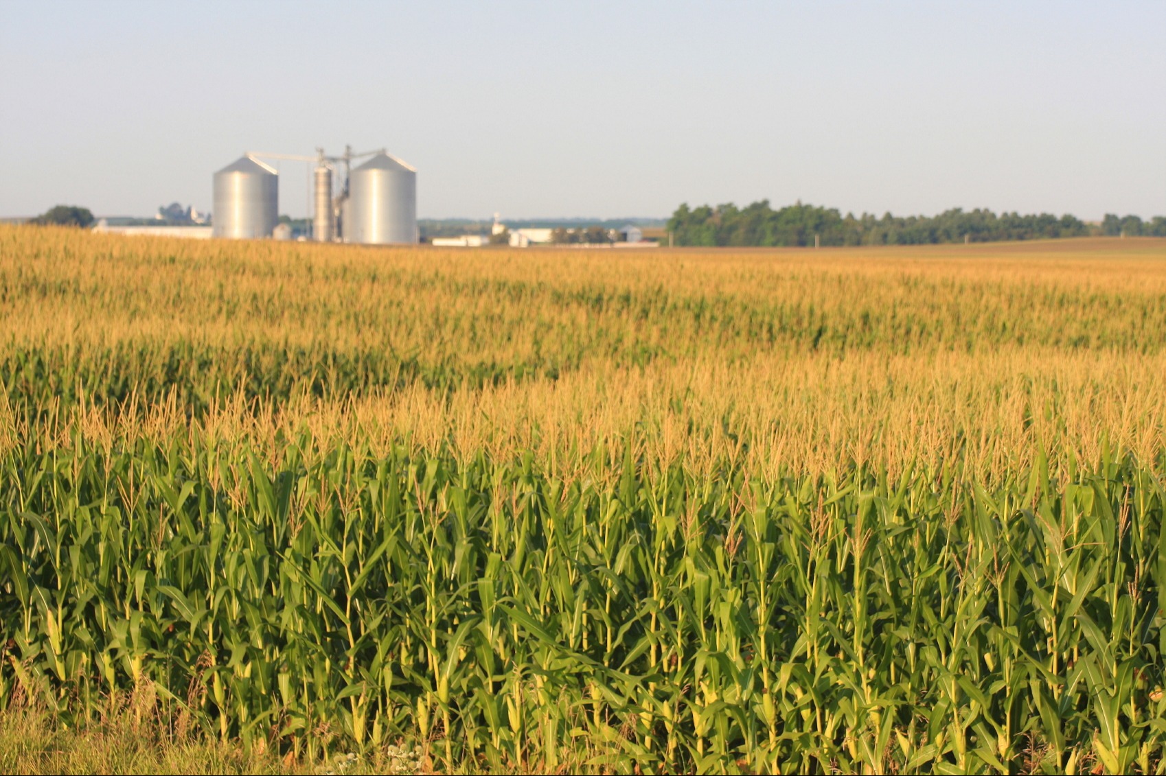 Your Goals. Your Plan. Your Growth.