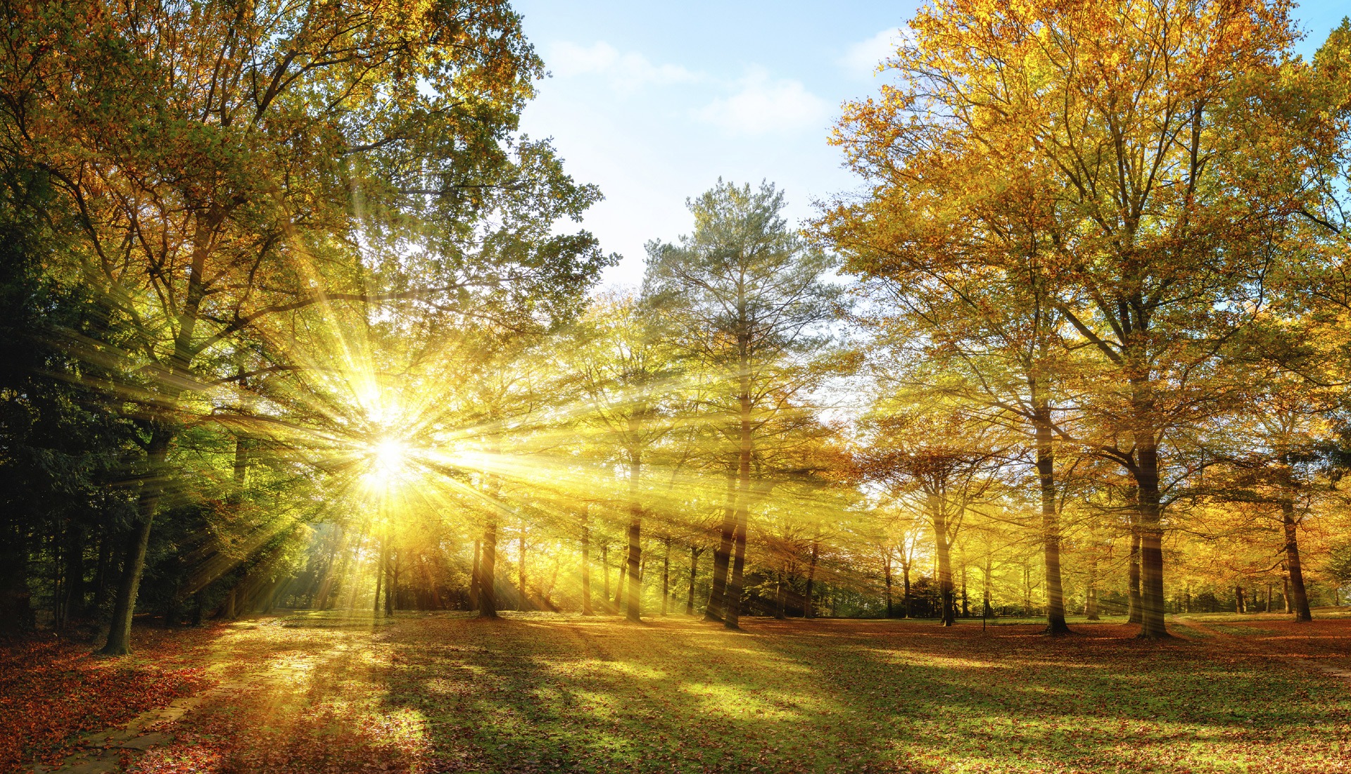 Leading clients to make wise financial decisions so they can live more meaningful lives.