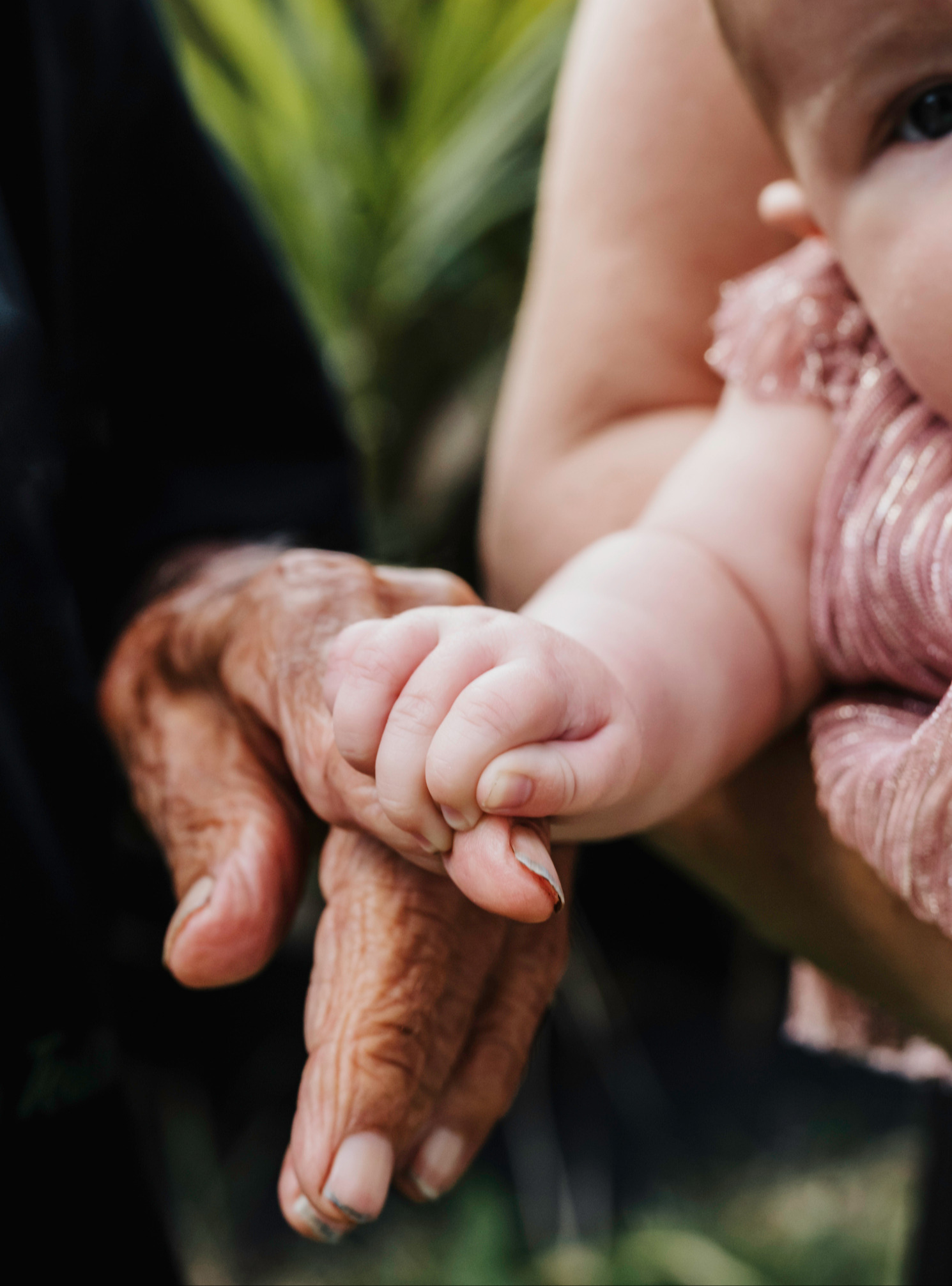 Generational Wealth Planning