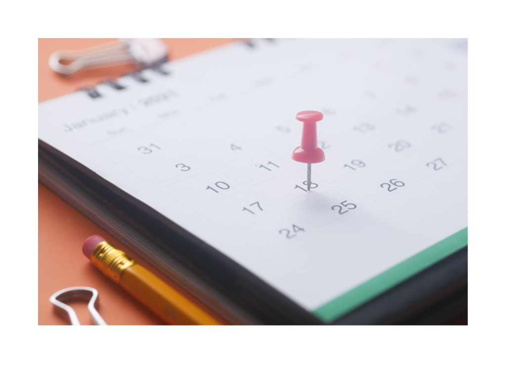 Year-Round Reviews, Adjustments, and Accountability