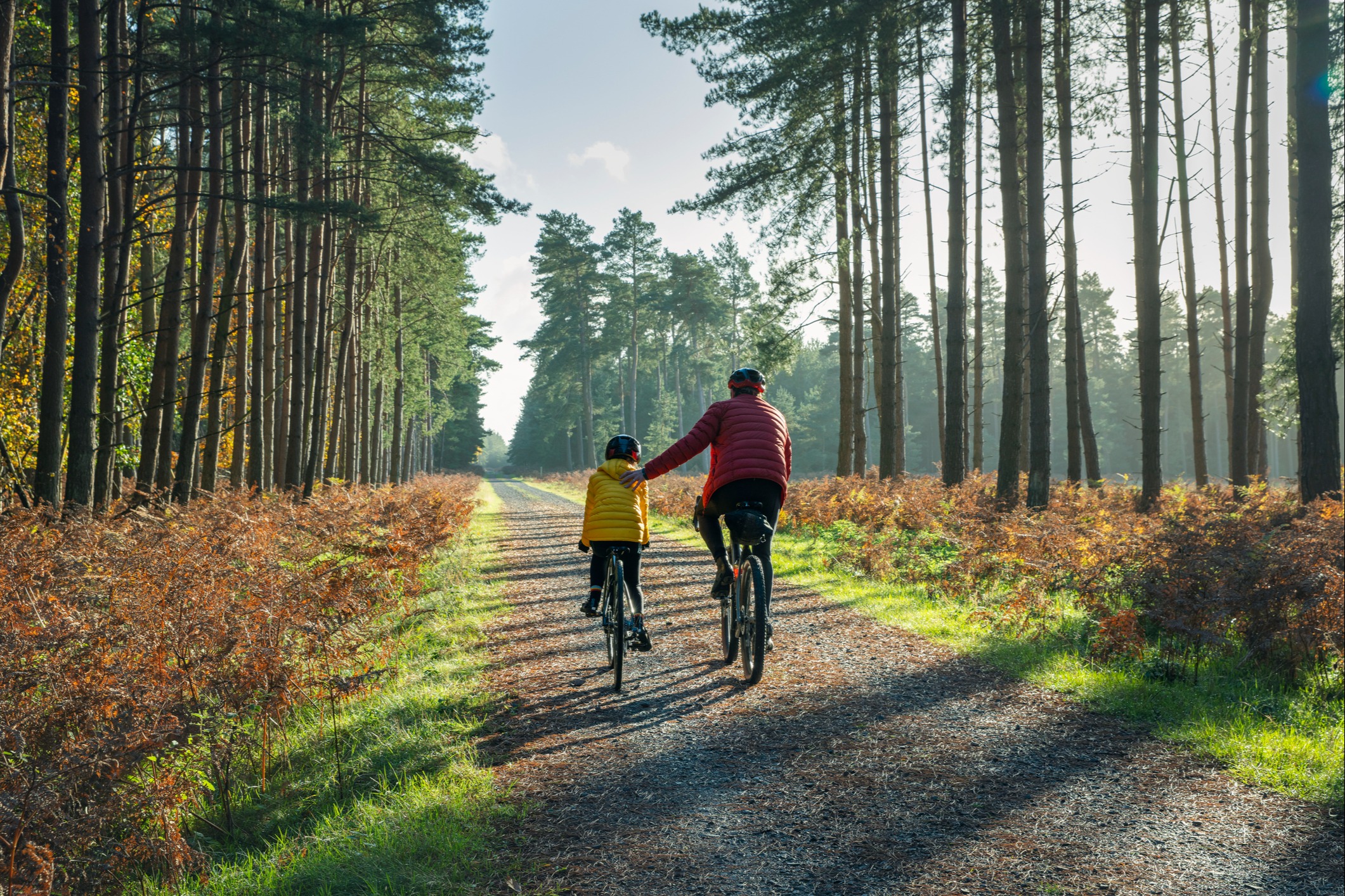 father-son-bicycling-in-forest