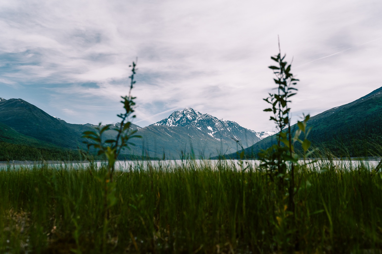 ... no copy here ...