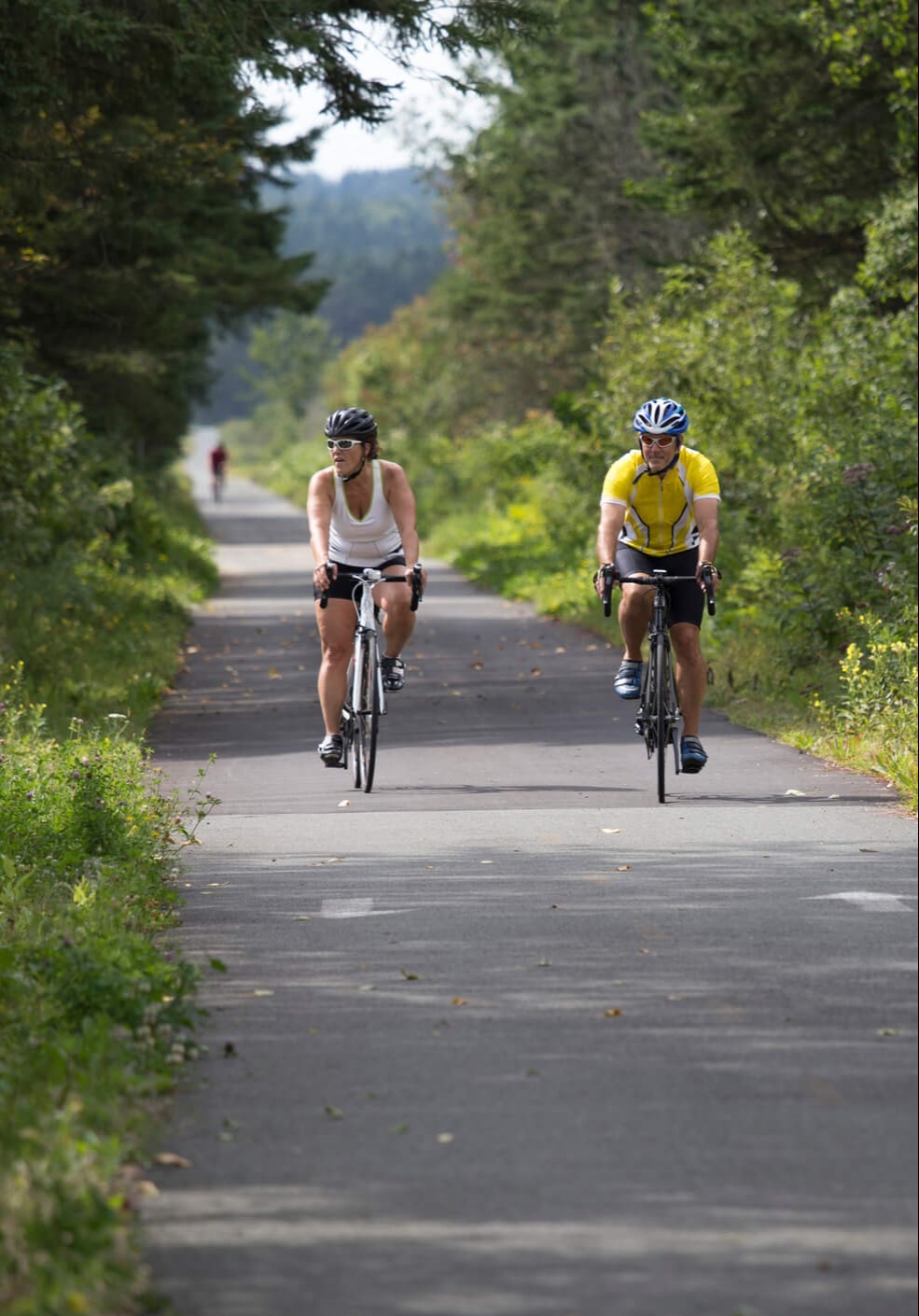 Investment Management