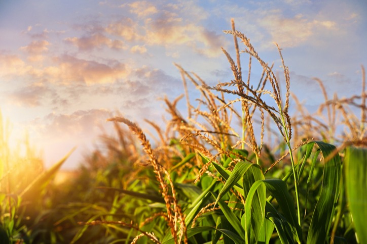 The Harvester Approach