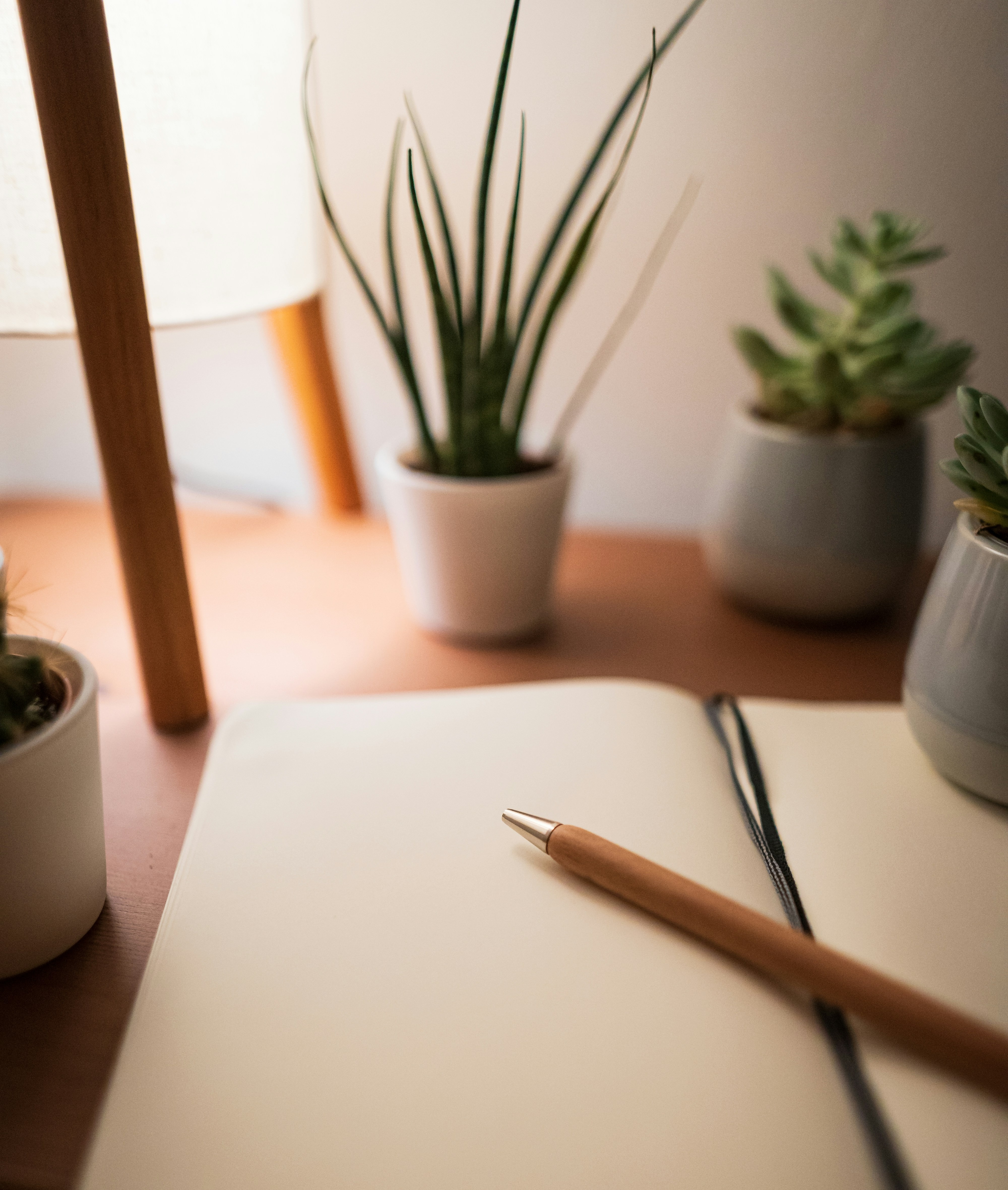 WELCOMEYour Goals, Your Plan, Your Terms