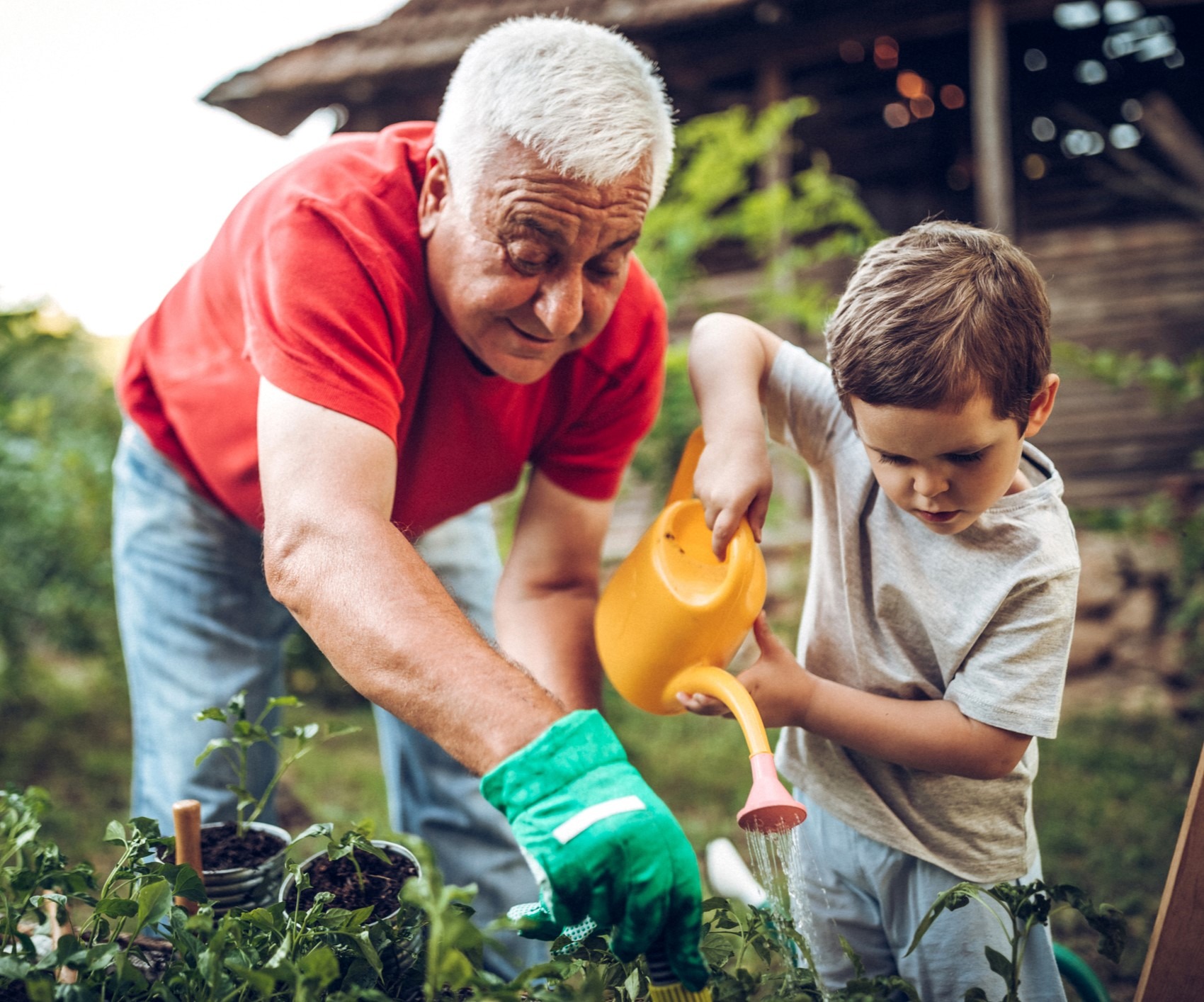 Recently single individuals (widows/ers, divorcees)