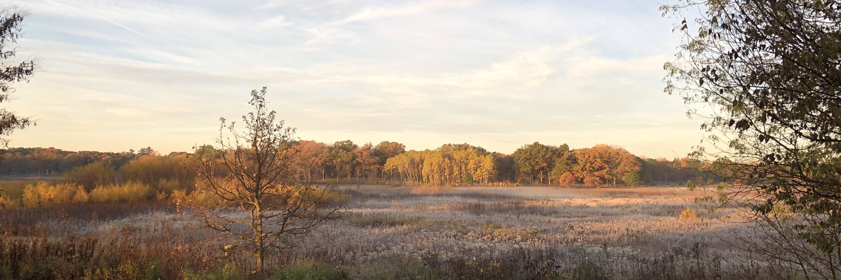 Fall scene in the forest in the mountains