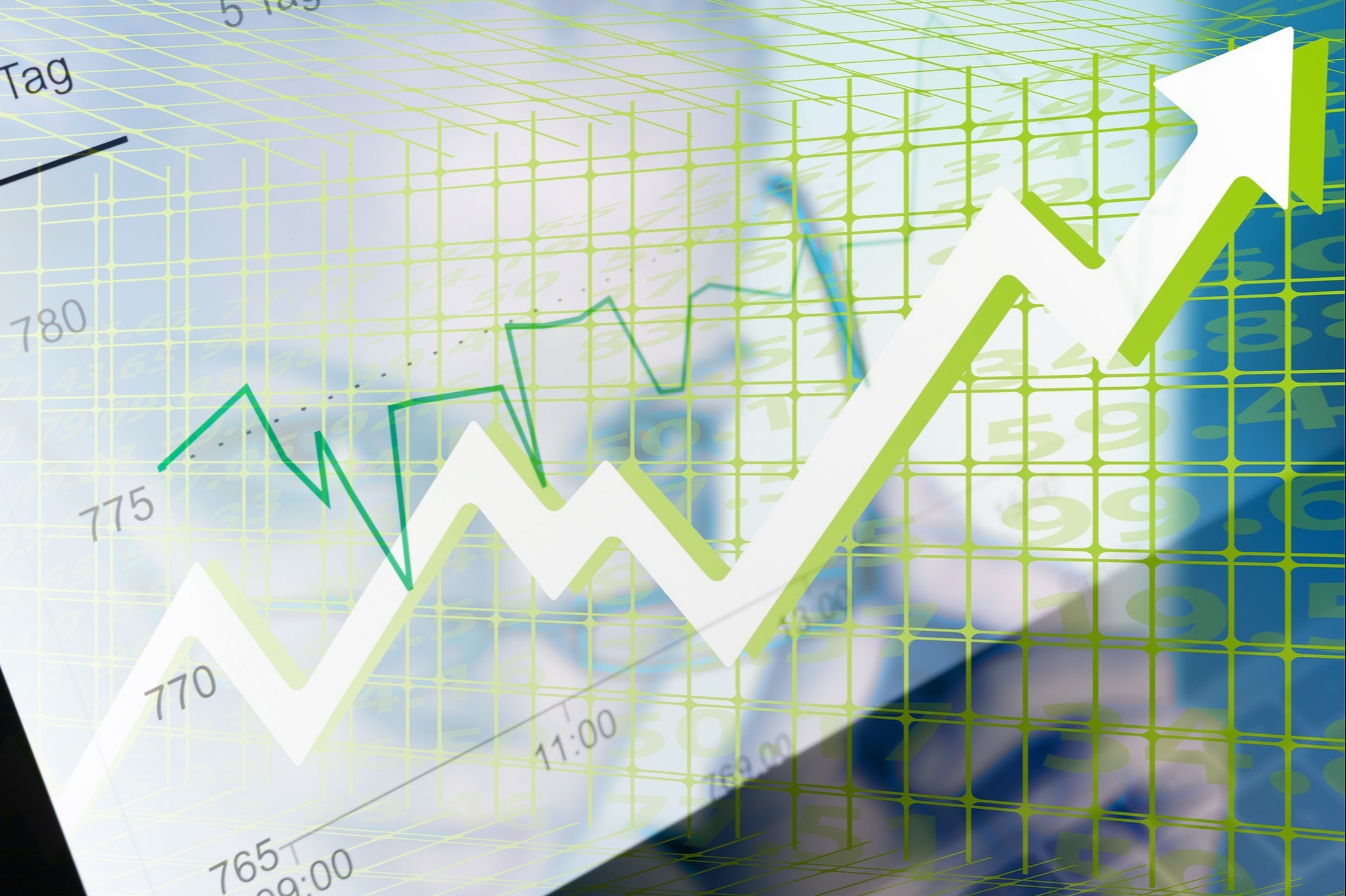 Wealth Management