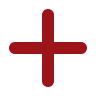 plus-icon