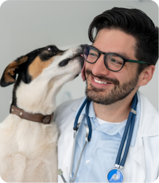 Veterinarians