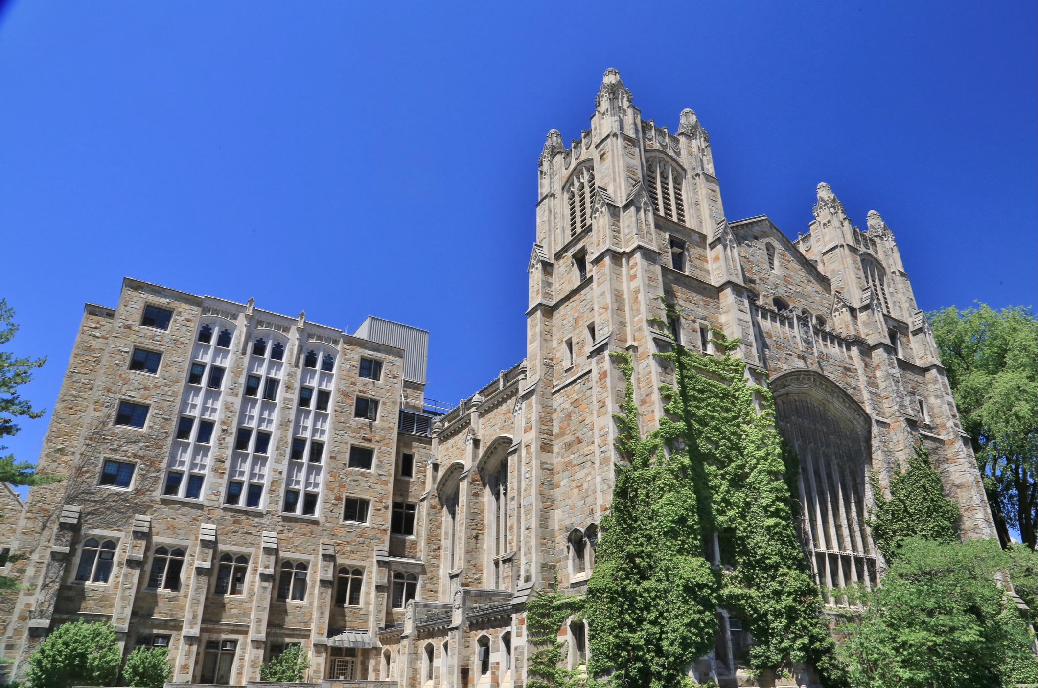 University of Michigan Employee Benefits: What You Need to Know<br/>