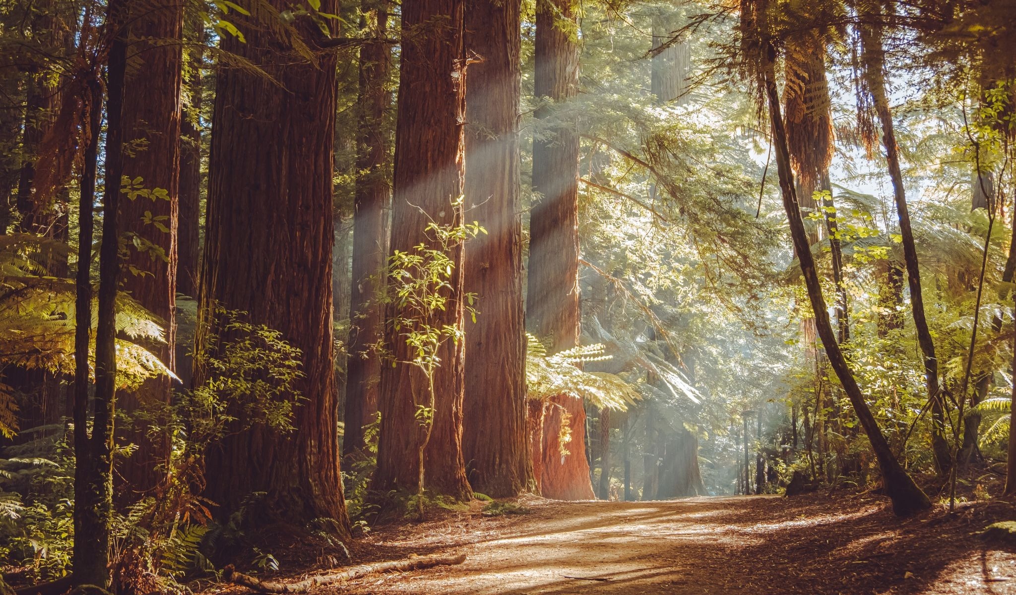 Your Goals, Our Priority