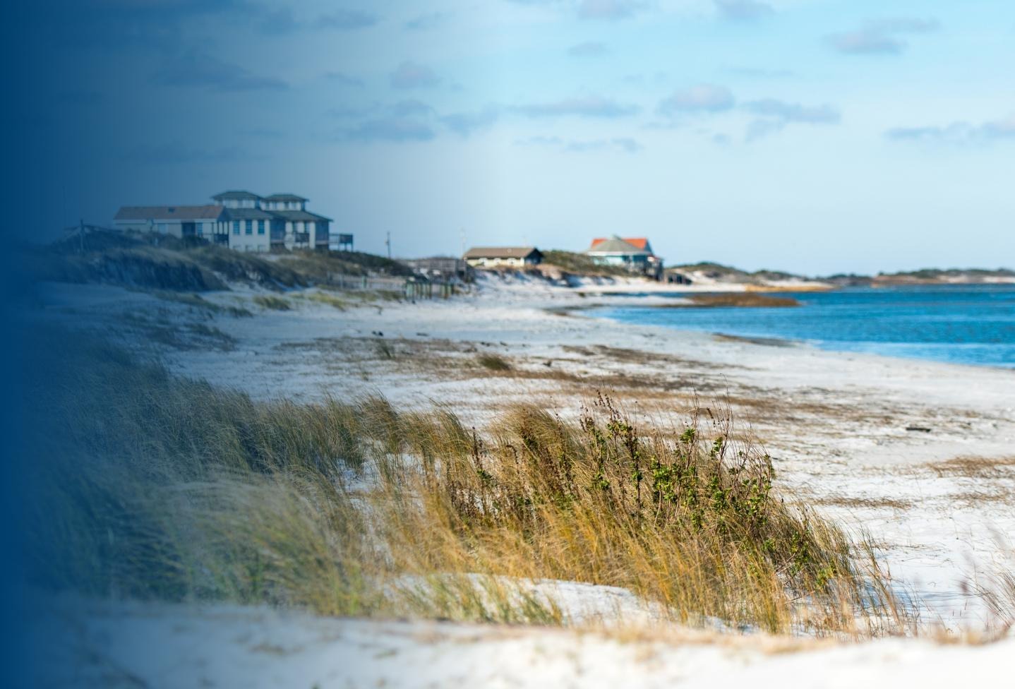 Long view down beachfront covered in seaweed and grasses