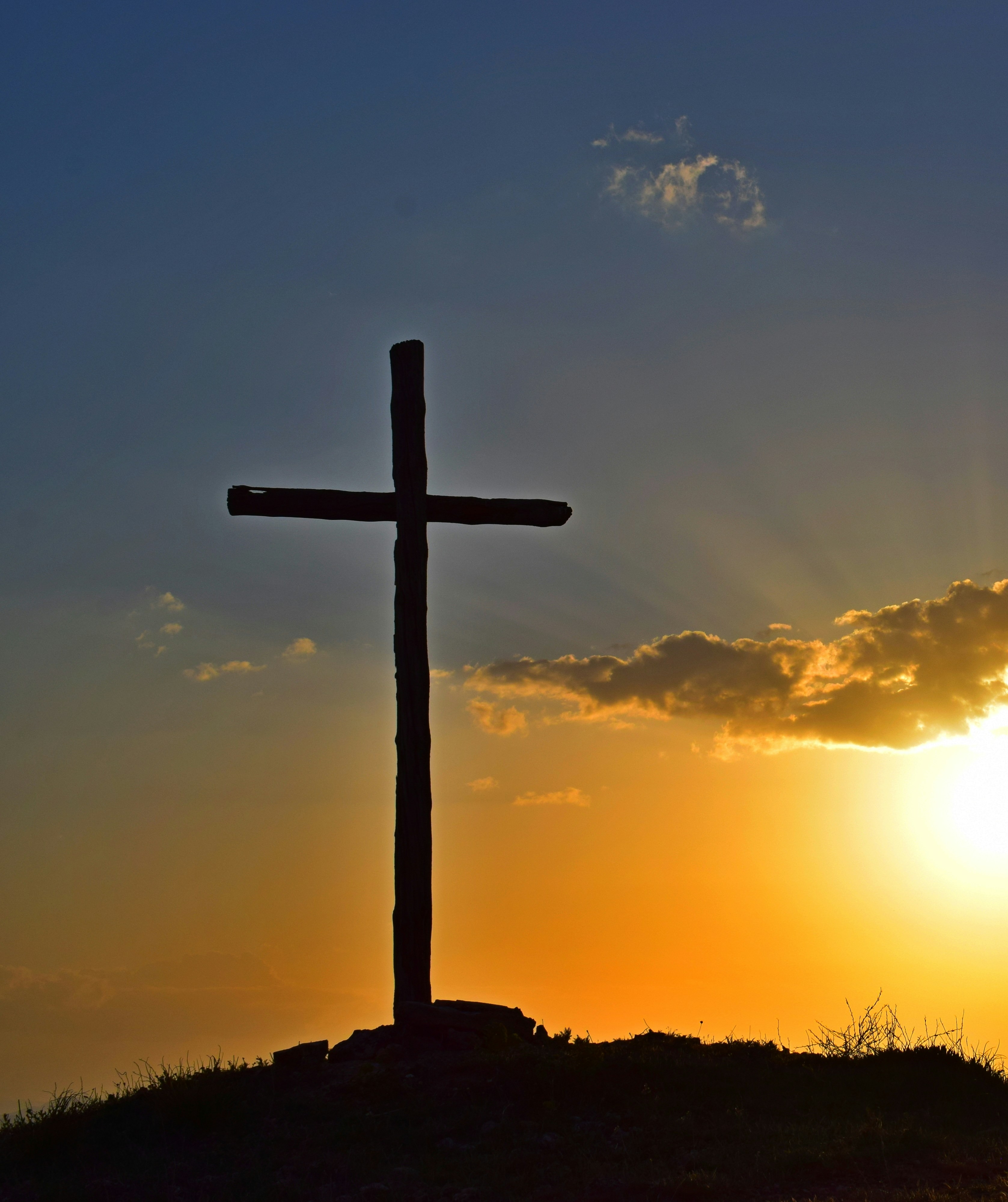 ... no copy here ...