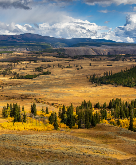 Individuals and Families