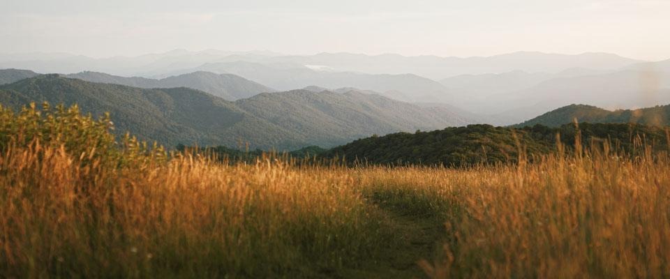Photo of a valley