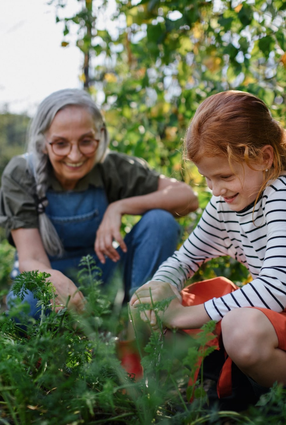 ... no copy here ...