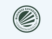 2016 business experience icon
