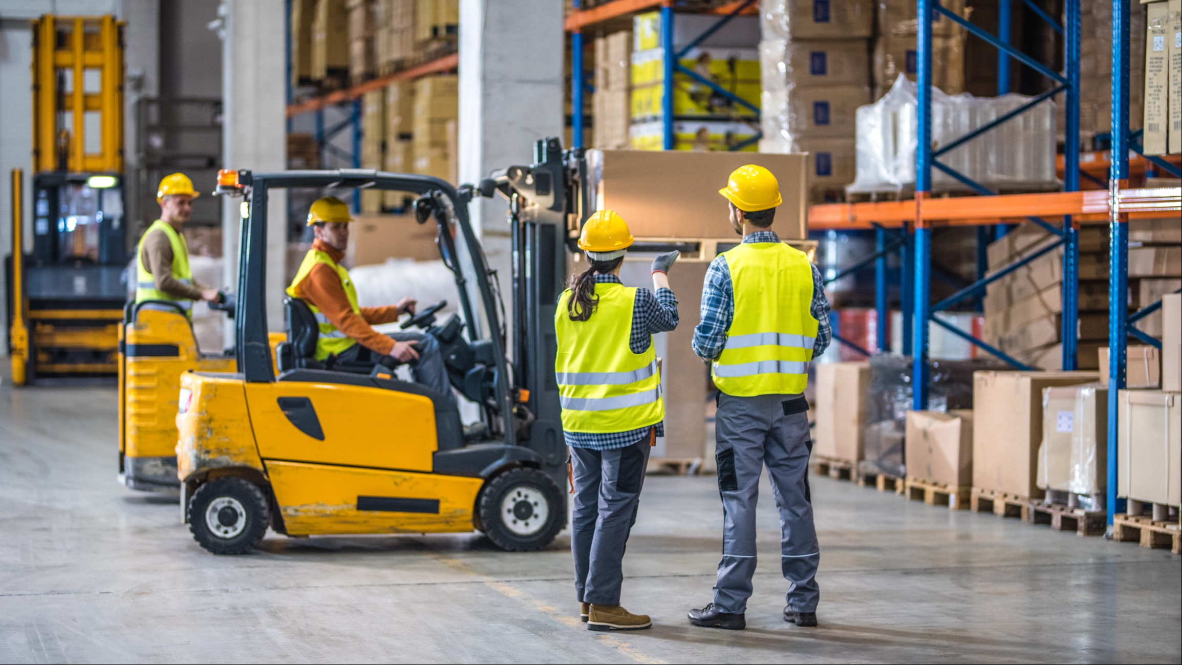 Manufacturing & Distribution