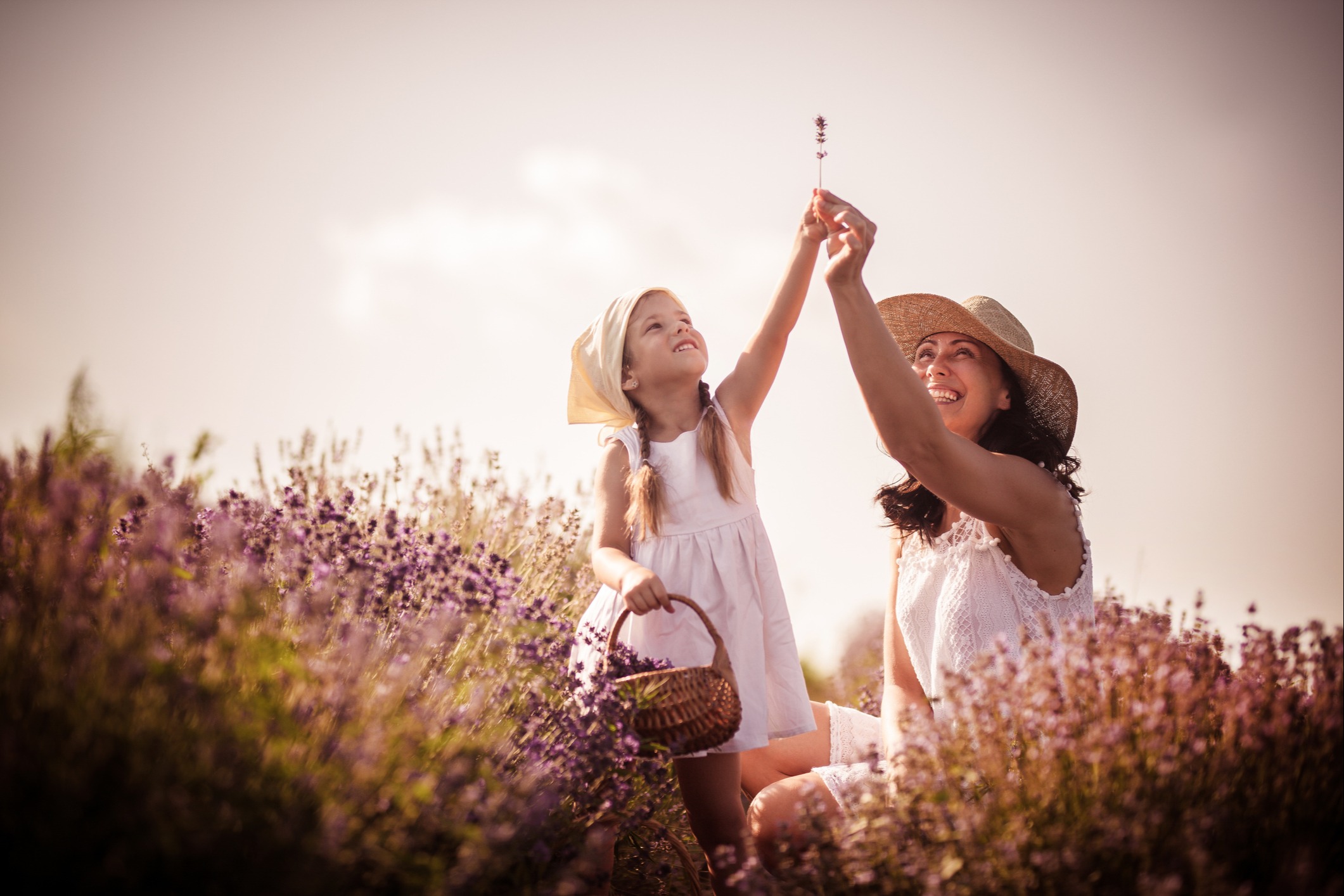 Why Choose Jamka Wealth Navigation