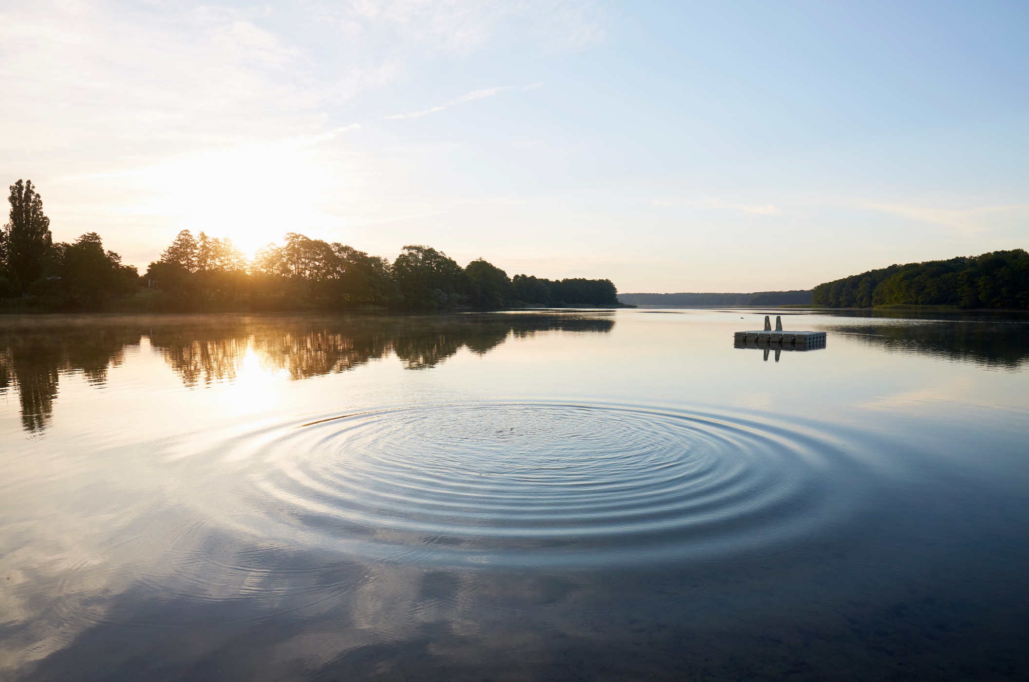 A Serene lake in the forest