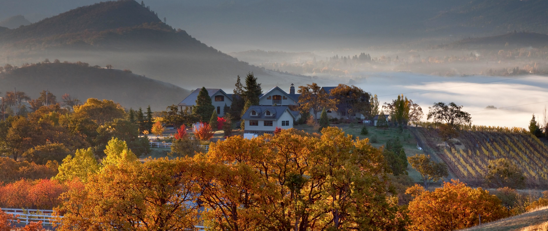Houses and autumn trees