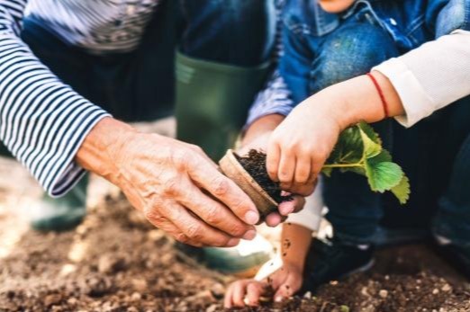 Grandparent and grandchild gardening
