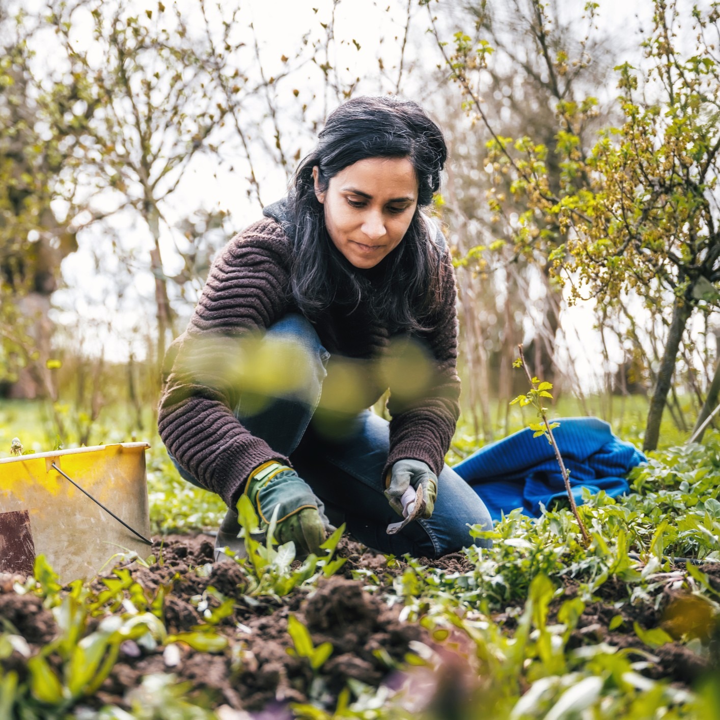 Growing What You’ve Got