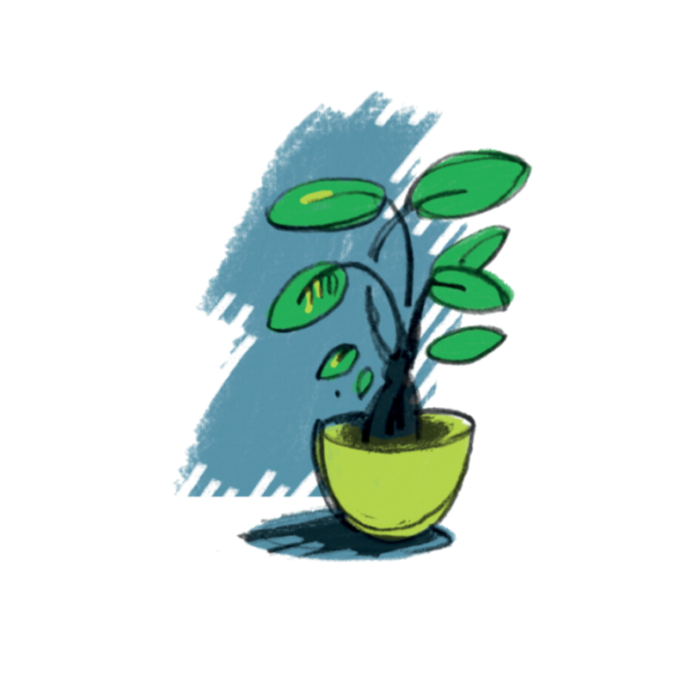 Aligning What Matters Most With Purpose to <strong>Create Harmony</strong>