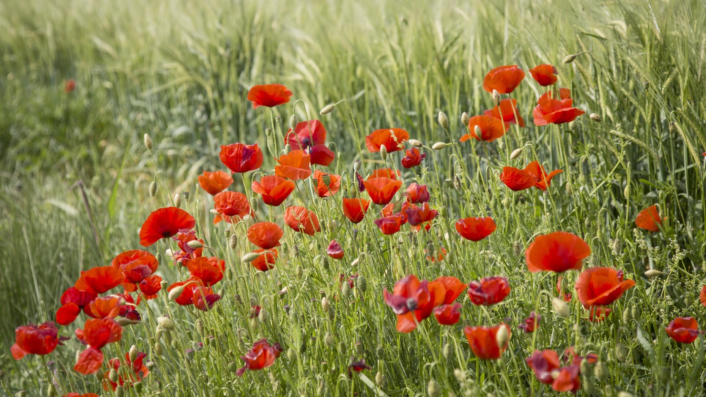 Your trust. Our expertise.