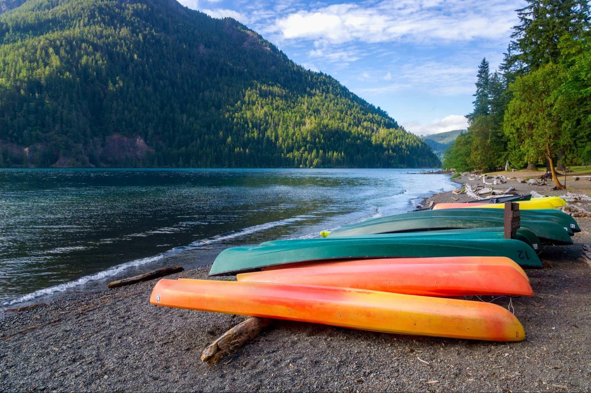 canoes upside down by water's edge on a sunny day next to green forest