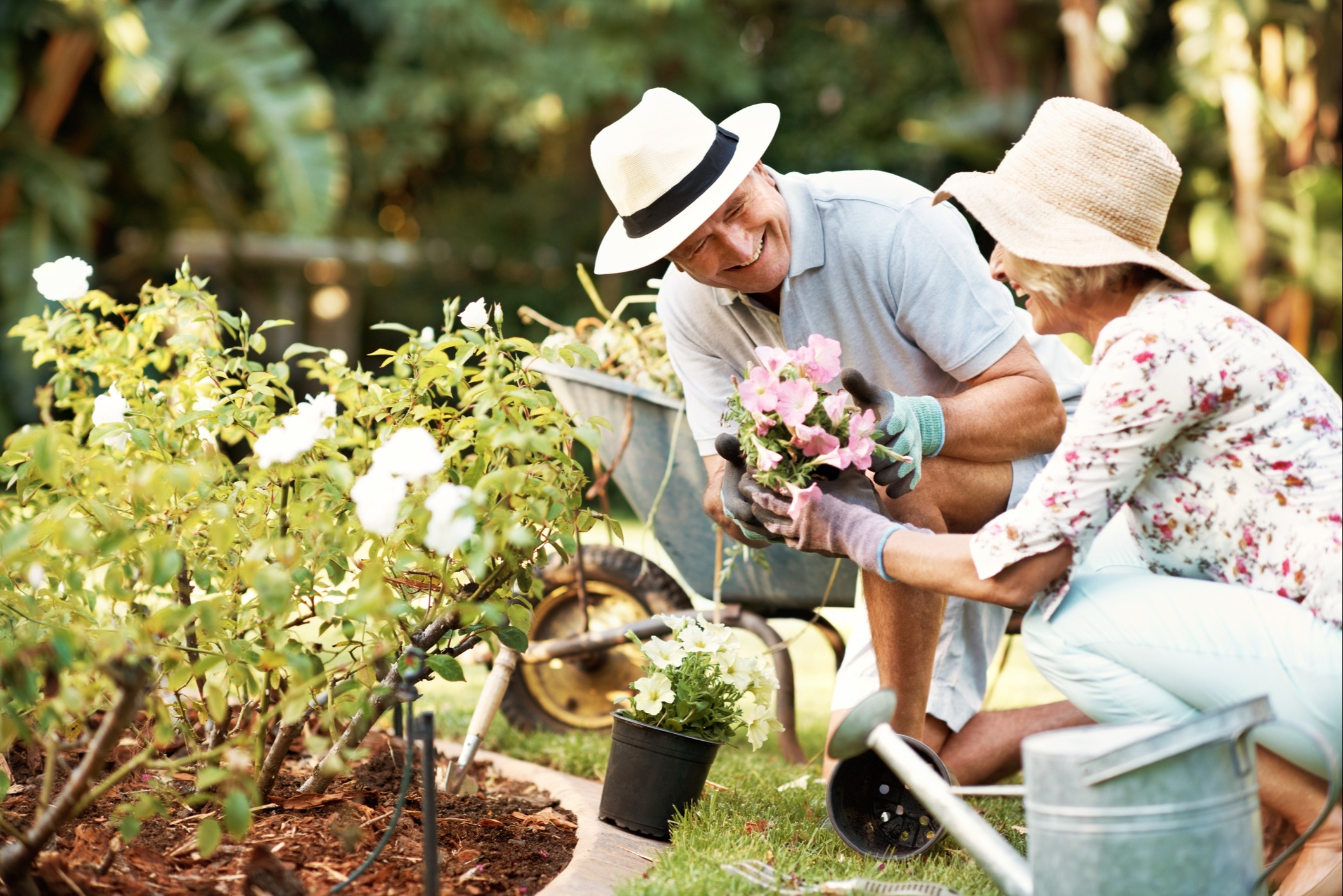 Retirees & Pre-Retirees