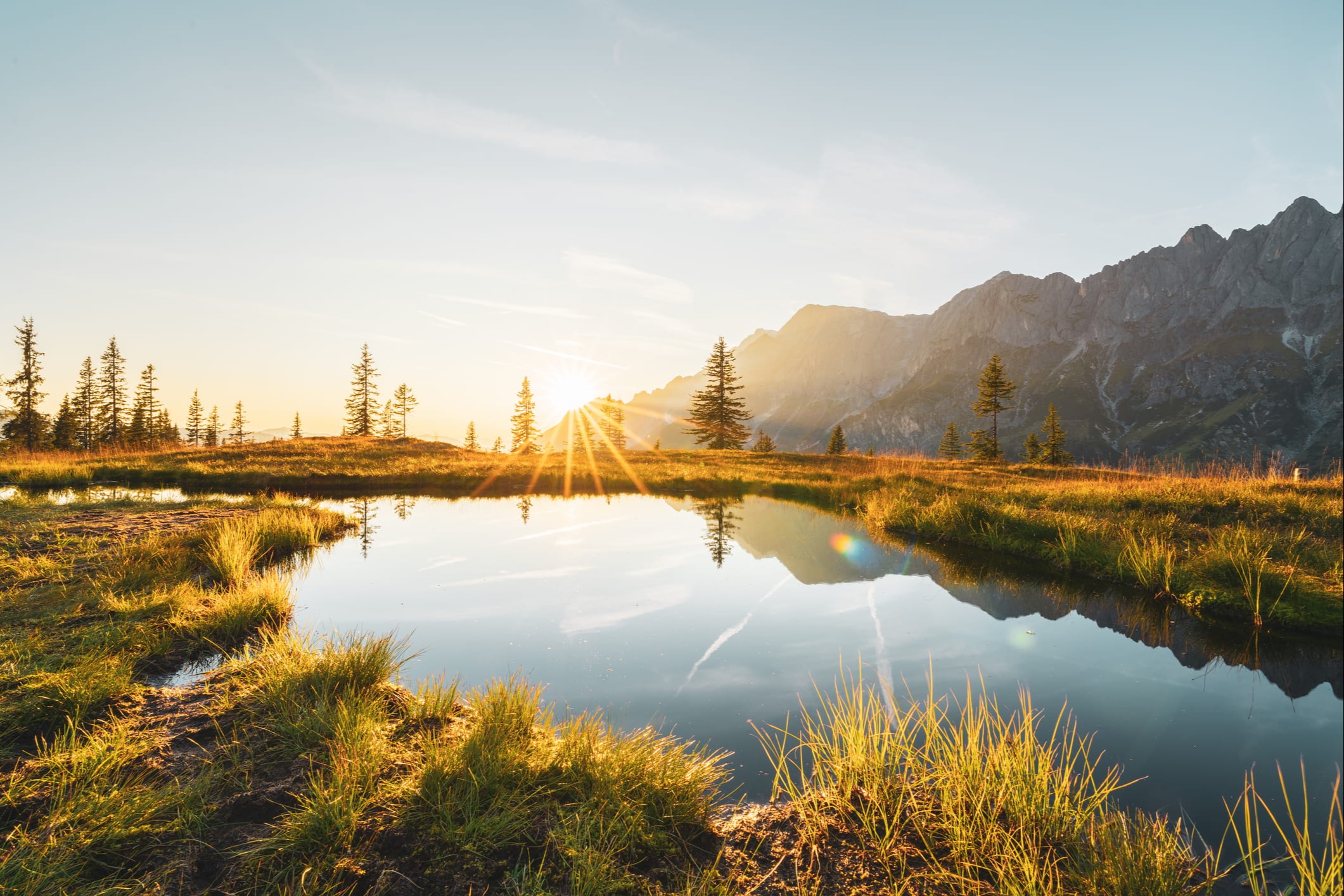 Who Decides What Happens to Everything You Have Built?Estate, Legacy, and Charitable Giving