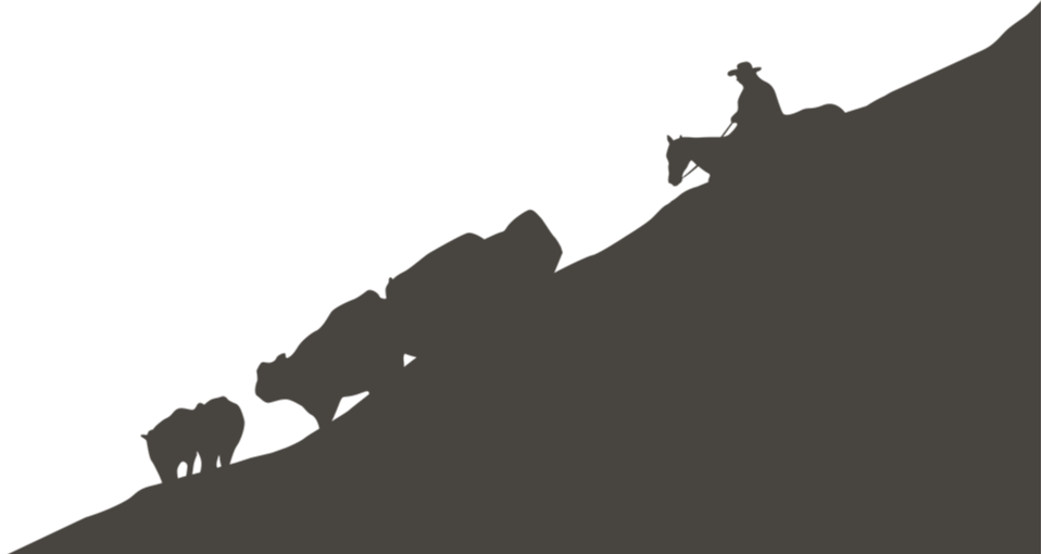 We will Steer You in the Right Direction