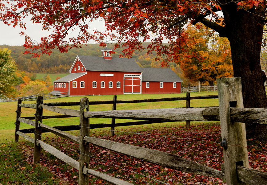 Estate Planning