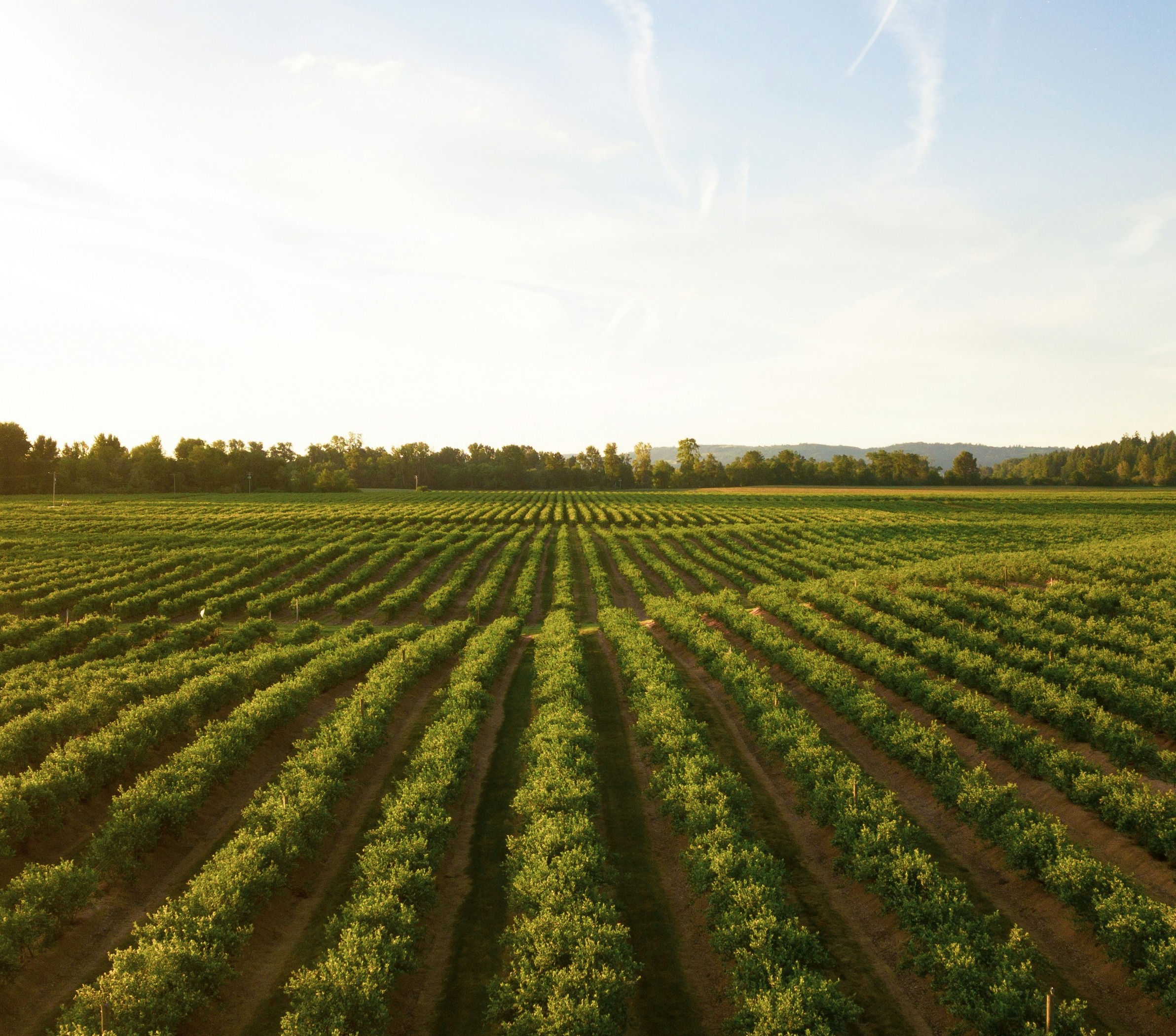 Farm Estate Planning