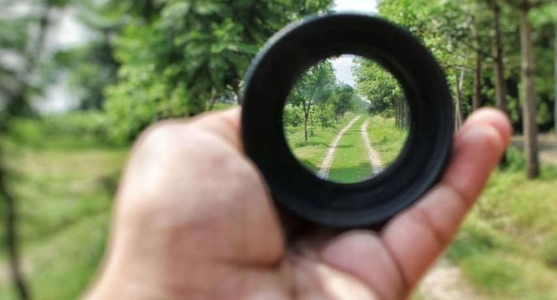 person holding a lens and looking through it at a path between rows of trees