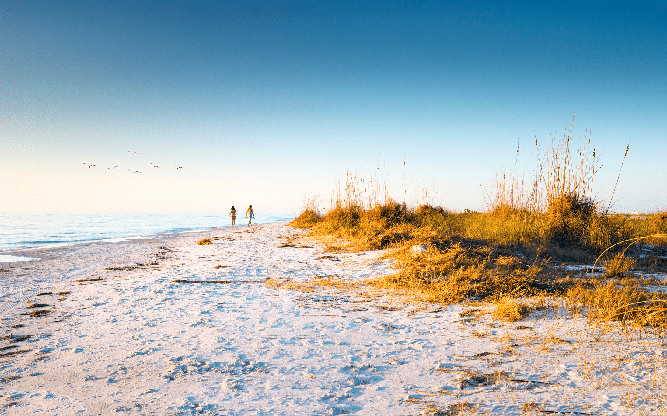 Acting As Trustworthy Stewards Of Your Wealth