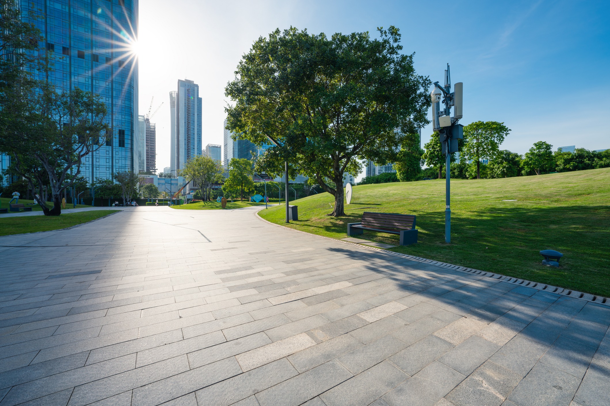 Asset Preservation & Wealth Management