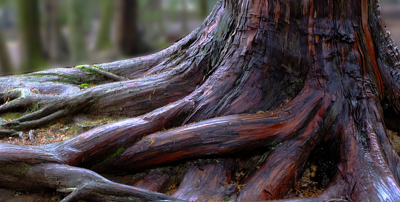 ... no copy here ...