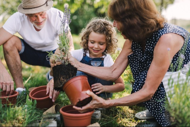 Pre-Retirees & Retirees<br/>