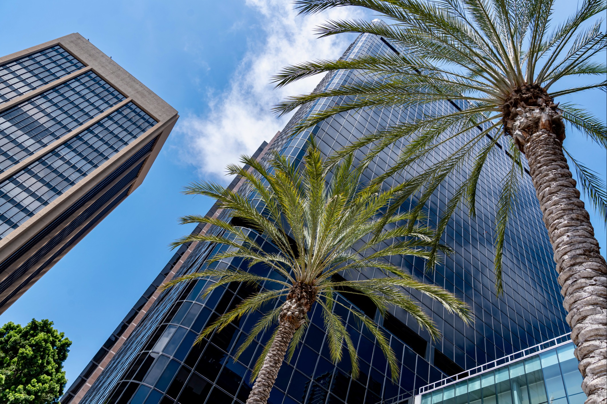 Investment Management