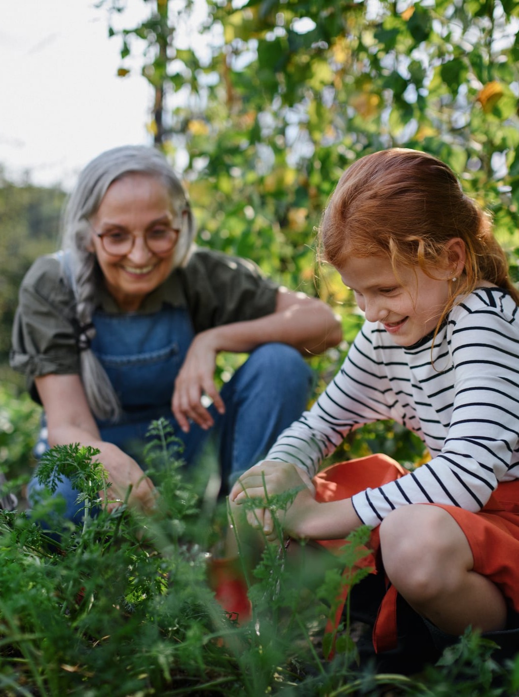 ... no copy here ...