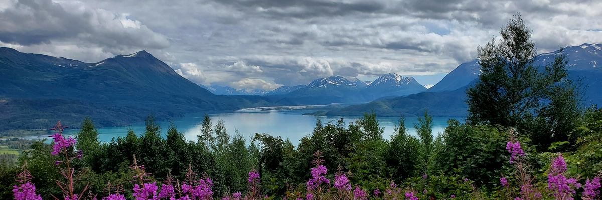 High view of trees and a body of water with mountains in the distance