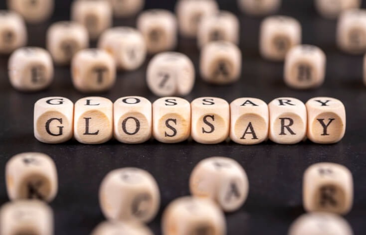 Glossary