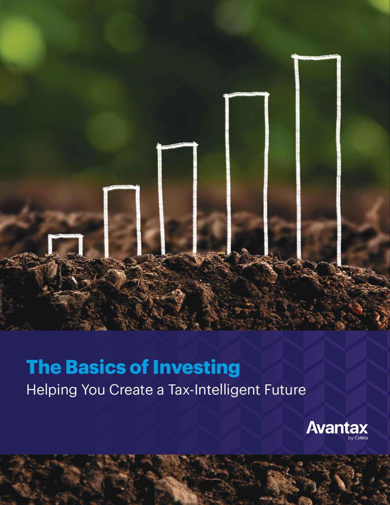 The Basics of Investing