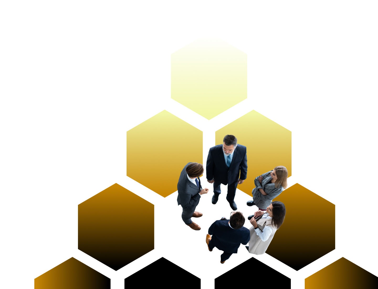 Our team has nested where you need us most.