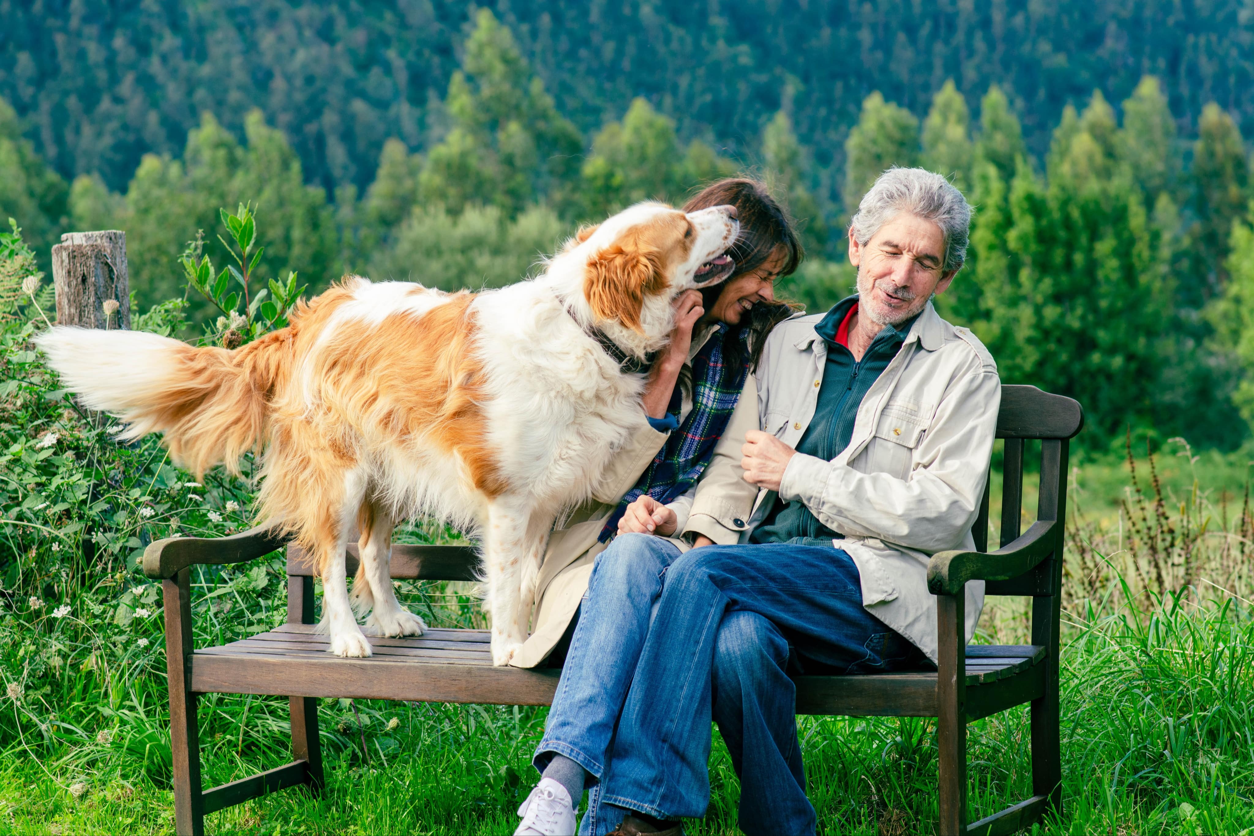 Your Local Team Focused on Long-Term Relationships