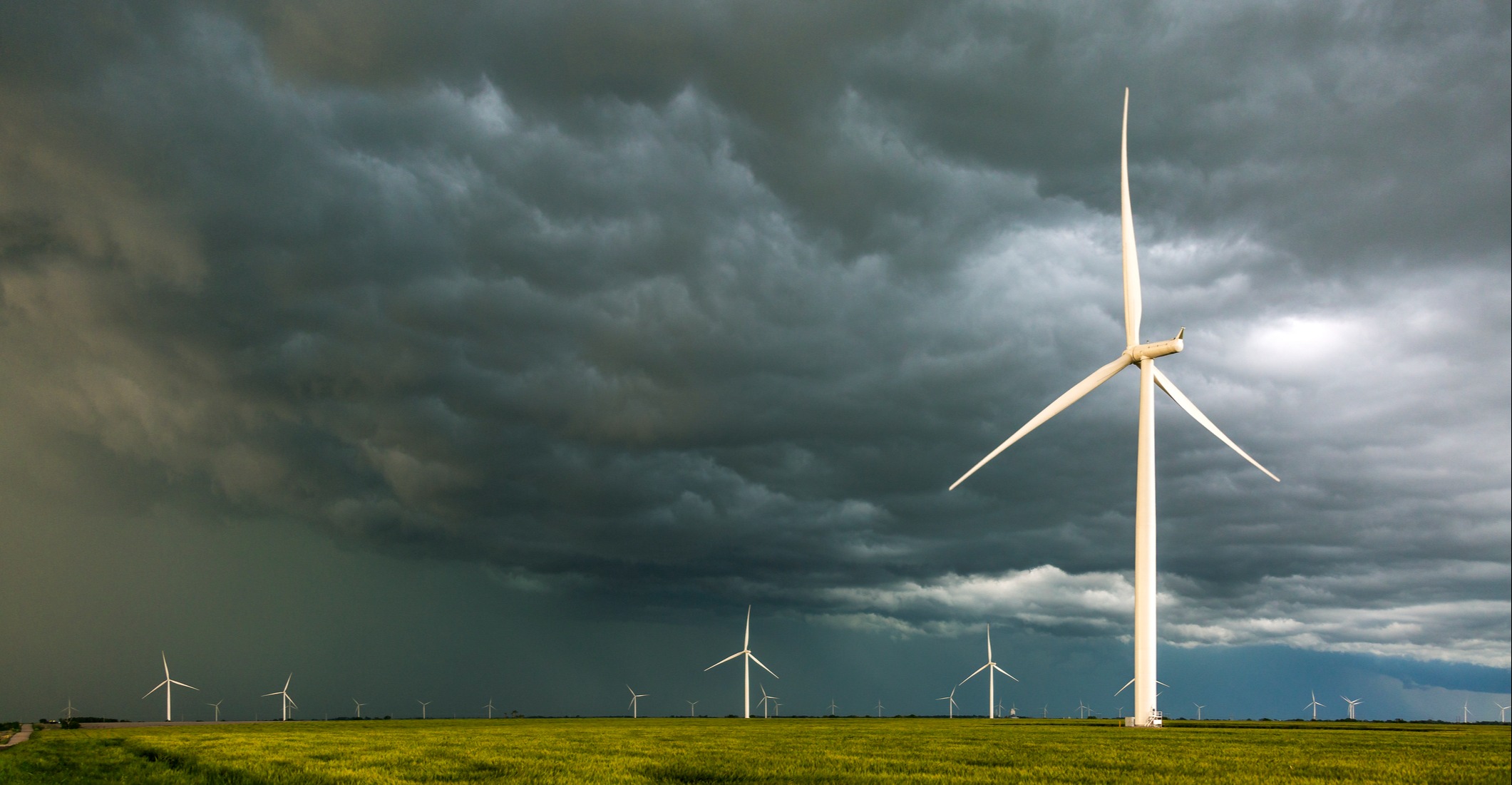 Investment Management