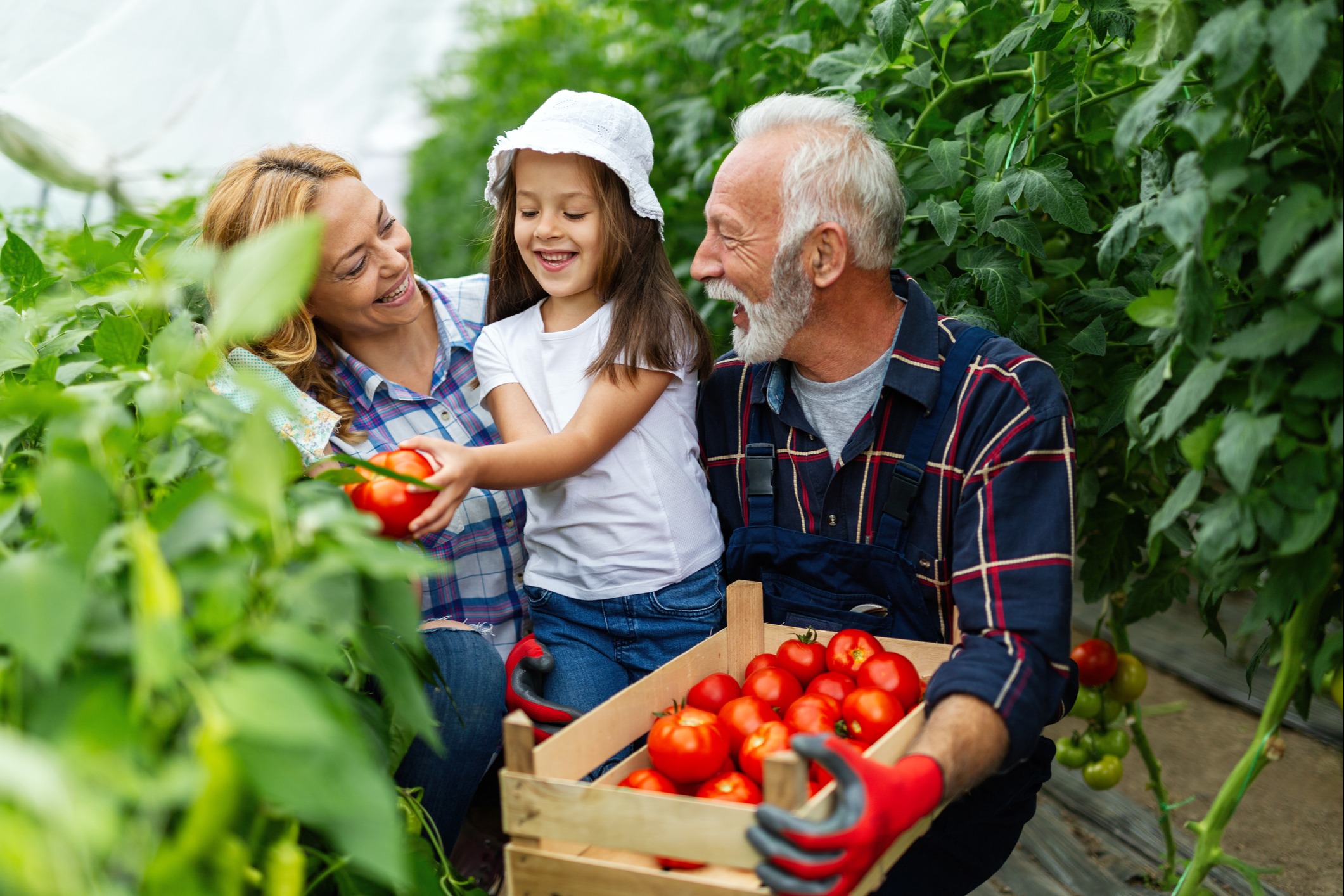 Planning Beyond Today: Strategies for Your Future